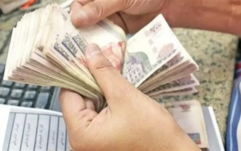 هل تستحق منحة البطالة الشهرية من التضامن بعد فقدان الوظيفة 2025؟